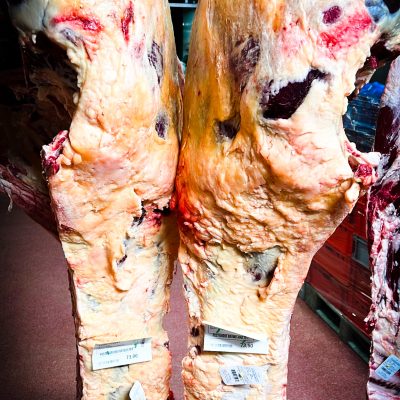 POSTERIORE VACCA GIALLA 2